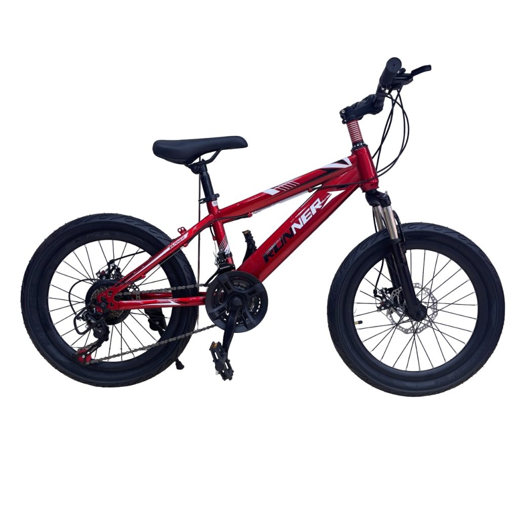 RUNNER Velocity Road Bike 20 4